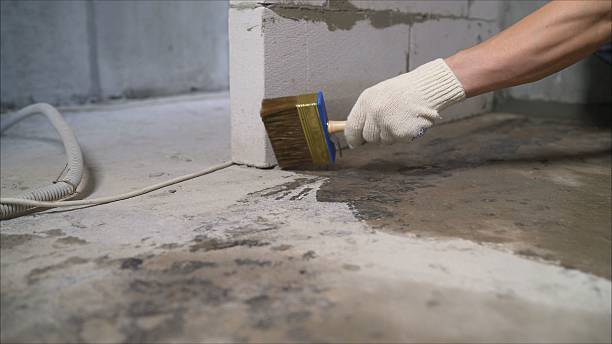 SJ Waterproofing Pros Waterproofing coverage map for Waverly, MN and surrounding area